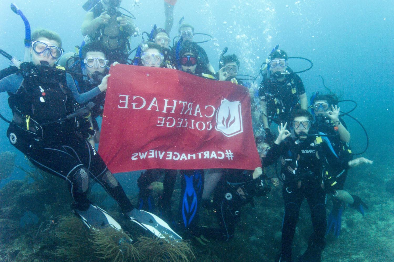 学生们手持<a href='http://ylsv.ngskmc-eis.net'>bv伟德ios下载</a>旗帜，在j学期洪都拉斯游学之旅中潜水.